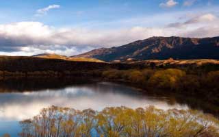 Eli Lilly & Healthcare's Surprising Surge: Unpacking the Forces Driving Their Ascent and the Future of Innovation