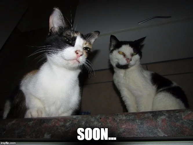 SOON: What's Coming and When?